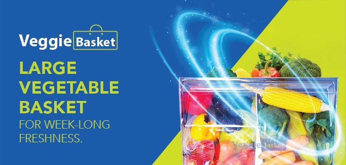 Unbox Kelvinator 275 Litre 2 Star Double Door Convertible Refrigerator, Mangolia Maroon Floral, KRF-G280RBVMMZ - Image 6